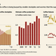 robusta prices have increased while arabica slips